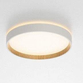 Накладной светильник Citilux Etalon CL750240 в Коротчаево - korotchaevo.ok-mebel.com | фото 12