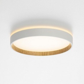 Накладной светильник Citilux Etalon CL750240 в Коротчаево - korotchaevo.ok-mebel.com | фото 4