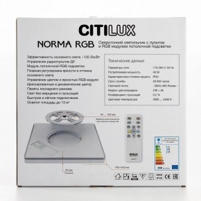 Накладной светильник Citilux Norma CL749K301 в Коротчаево - korotchaevo.ok-mebel.com | фото 10