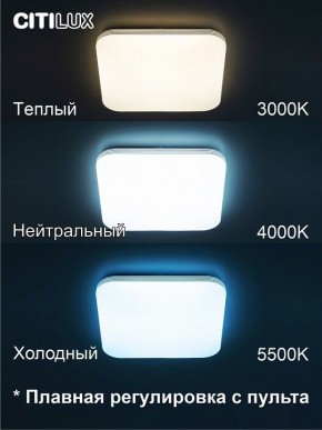 Накладной светильник Citilux Симпла CL714K480G в Коротчаево - korotchaevo.ok-mebel.com | фото 4