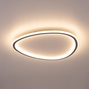 Накладной светильник Citilux ТRIO CL215B251E в Коротчаево - korotchaevo.ok-mebel.com | фото 9