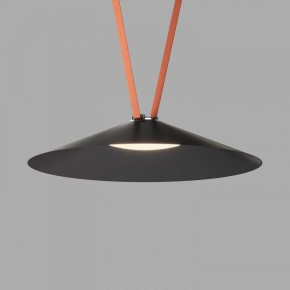Накладной светильник Denkirs Belty Flow DK5569-BK в Коротчаево - korotchaevo.ok-mebel.com | фото