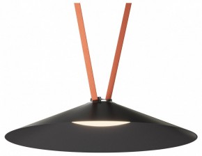 Накладной светильник Denkirs Belty Flow DK5569-BK в Коротчаево - korotchaevo.ok-mebel.com | фото 2