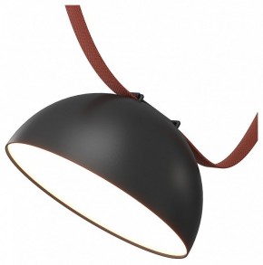 Накладной светильник Denkirs Belty Flow DK5660-BK в Коротчаево - korotchaevo.ok-mebel.com | фото
