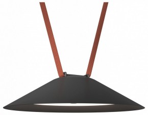Накладной светильник Denkirs Belty Flow DK5664-BK в Коротчаево - korotchaevo.ok-mebel.com | фото