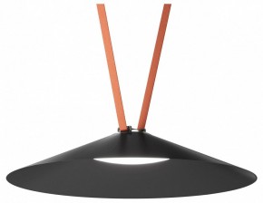Накладной светильник Denkirs Belty Flow DK5668-BK в Коротчаево - korotchaevo.ok-mebel.com | фото