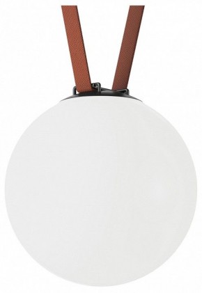 Накладной светильник Denkirs Belty Orb DK5554-BK в Коротчаево - korotchaevo.ok-mebel.com | фото