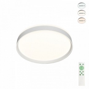 Накладной светильник Denkirs PLATO DK6511-WH в Коротчаево - korotchaevo.ok-mebel.com | фото 4
