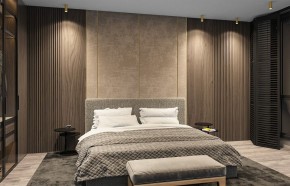 Накладной светильник Denkirs TUBE DK2051-SG в Коротчаево - korotchaevo.ok-mebel.com | фото 5