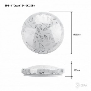 Накладной светильник Эра Классик SPB-6-24-4K (C) в Коротчаево - korotchaevo.ok-mebel.com | фото 6