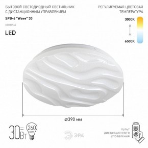 Накладной светильник Эра Классик SPB-6-30-RC Wave в Коротчаево - korotchaevo.ok-mebel.com | фото 2