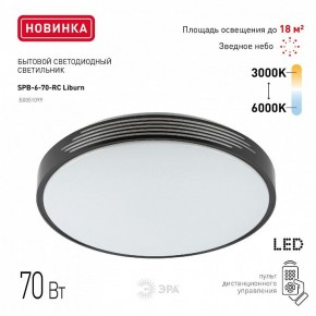 Накладной светильник Эра Классик SPB-6-70-RC Liburn в Коротчаево - korotchaevo.ok-mebel.com | фото 10