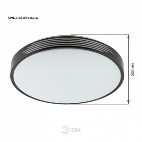 Накладной светильник Эра Классик SPB-6-70-RC Liburn в Коротчаево - korotchaevo.ok-mebel.com | фото 13