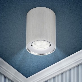 Накладной светильник Эра  OL1 GU10 SL/CH в Коротчаево - korotchaevo.ok-mebel.com | фото 3