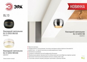 Накладной светильник Эра OL13 GX53 SN Б0049031 в Коротчаево - korotchaevo.ok-mebel.com | фото 5