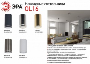 Накладной светильник Эра OL16 GU10 GD Б0049047 в Коротчаево - korotchaevo.ok-mebel.com | фото 5