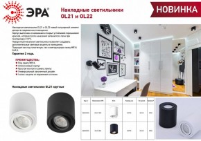 Накладной светильник Эра OL21 BK Б0054393 в Коротчаево - korotchaevo.ok-mebel.com | фото 2