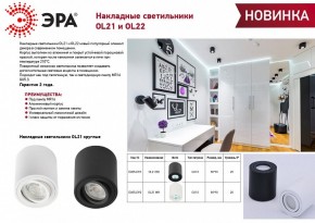 Накладной светильник Эра OL22 WH Б0054394 в Коротчаево - korotchaevo.ok-mebel.com | фото 3