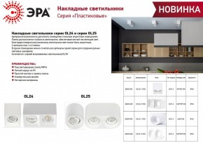 Накладной светильник Эра OL24-1 WH Б0054381 в Коротчаево - korotchaevo.ok-mebel.com | фото 2