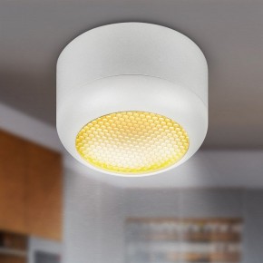 Накладной светильник Эра  OL56 WH в Коротчаево - korotchaevo.ok-mebel.com | фото 8