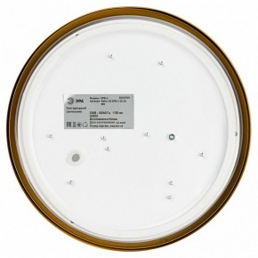 Накладной светильник Эра Relict Relict 22 SPB-6-20 4К MG в Коротчаево - korotchaevo.ok-mebel.com | фото 4