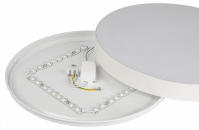 Накладной светильник Эра Relict Relict 38 SPB-6-40 4К WH в Коротчаево - korotchaevo.ok-mebel.com | фото 7