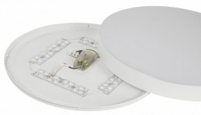 Накладной светильник Эра Relict Relict 48 Pult SPB-6-60-RC WH в Коротчаево - korotchaevo.ok-mebel.com | фото 11