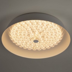 Накладной светильник Эра  SPB-6-60-RC Locus RGB в Коротчаево - korotchaevo.ok-mebel.com | фото 6