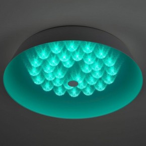 Накладной светильник Эра  SPB-6-60-RC Locus RGB в Коротчаево - korotchaevo.ok-mebel.com | фото 8