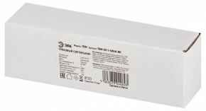 Накладной светильник Эра  TRM-S5-1-6W4K-BK в Коротчаево - korotchaevo.ok-mebel.com | фото 6