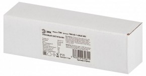 Накладной светильник Эра  TRM-S5-1-6W4K-WH в Коротчаево - korotchaevo.ok-mebel.com | фото 6