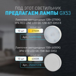 Накладной светильник Эра WL40 BK Б0054414 в Коротчаево - korotchaevo.ok-mebel.com | фото 4