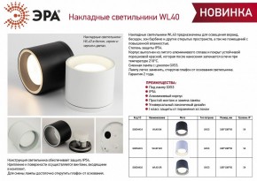 Накладной светильник Эра WL40 WH Б0054415 в Коротчаево - korotchaevo.ok-mebel.com | фото 3