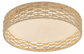 Накладной светильник F-promo Conrad 4749-4C в Коротчаево - korotchaevo.ok-mebel.com | фото 2