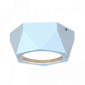 Накладной светильник Favourite Fantum 4669-1U в Коротчаево - korotchaevo.ok-mebel.com | фото 2