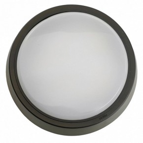 Накладной светильник Feron AL3020 51476 в Коротчаево - korotchaevo.ok-mebel.com | фото 4