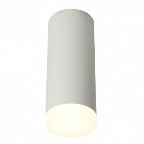 Накладной светильник Feron ML102 51389 в Коротчаево - korotchaevo.ok-mebel.com | фото 2