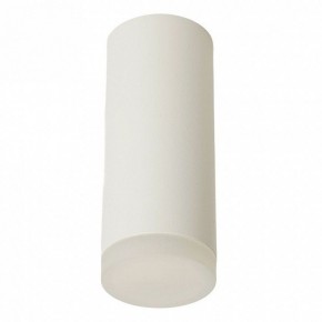 Накладной светильник Feron ML102 51389 в Коротчаево - korotchaevo.ok-mebel.com | фото 6
