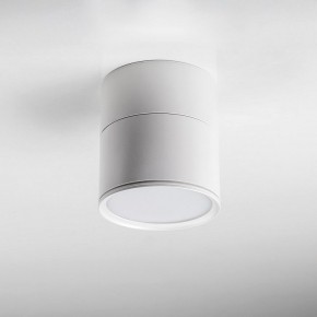 Накладной светильник Lightstar Acuto 215886 в Коротчаево - korotchaevo.ok-mebel.com | фото 3