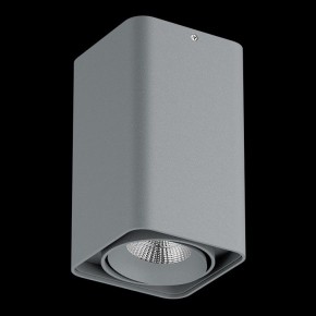 Накладной светильник Lightstar Monocco 052139-IP65 в Коротчаево - korotchaevo.ok-mebel.com | фото 2