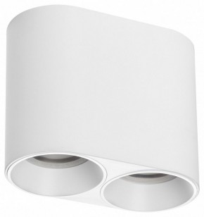 Накладной светильник Lightstar Rullo 213466 в Коротчаево - korotchaevo.ok-mebel.com | фото
