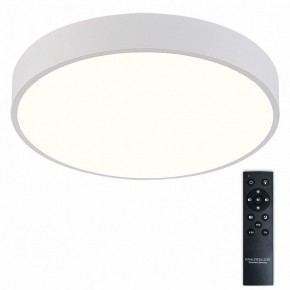 Накладной светильник Natali Kovaltseva  LED LAMPS 81112/5C в Коротчаево - korotchaevo.ok-mebel.com | фото 2