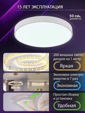Накладной светильник Natali Kovaltseva  LED LAMPS 81112/5C в Коротчаево - korotchaevo.ok-mebel.com | фото 4