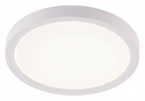 Накладной светильник Natali Kovaltseva PLAIN LED LAMPS 81113/1C в Коротчаево - korotchaevo.ok-mebel.com | фото