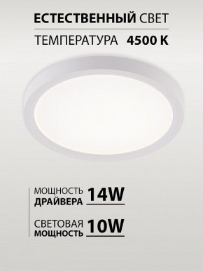 Накладной светильник Natali Kovaltseva PLAIN LED LAMPS 81113/1C в Коротчаево - korotchaevo.ok-mebel.com | фото 4