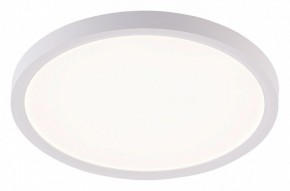 Накладной светильник Natali Kovaltseva PLAIN LED LAMPS 81113/2C в Коротчаево - korotchaevo.ok-mebel.com | фото