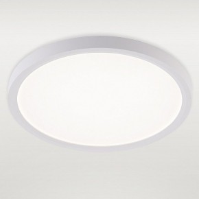 Накладной светильник Natali Kovaltseva PLAIN LED LAMPS 81113/2C в Коротчаево - korotchaevo.ok-mebel.com | фото 2