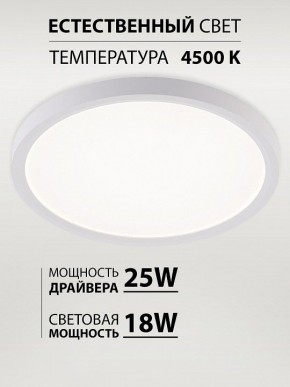 Накладной светильник Natali Kovaltseva PLAIN LED LAMPS 81113/2C в Коротчаево - korotchaevo.ok-mebel.com | фото 3