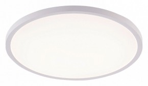 Накладной светильник Natali Kovaltseva PLAIN LED LAMPS 81113/5C в Коротчаево - korotchaevo.ok-mebel.com | фото
