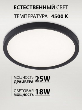 Накладной светильник Natali Kovaltseva PLAIN LED LAMPS 81114/2C в Коротчаево - korotchaevo.ok-mebel.com | фото 3